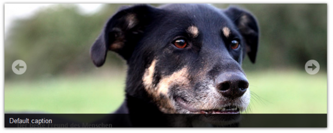 Easy_Image Rotator_Preview_HtmlCaption_2017-07-22